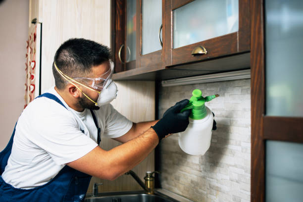 Best Pest Control for Homes  in Rtez, CO