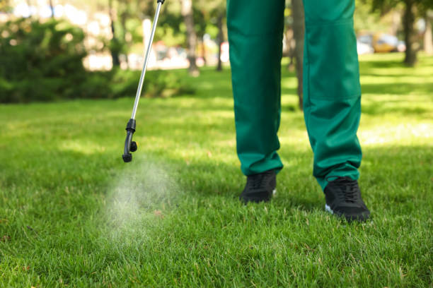Best Best Pest Control Companies  in Rtez, CO