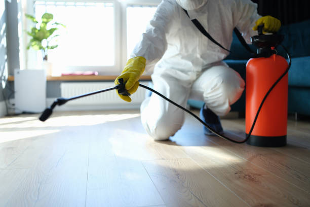 Flea Control Services in Cortez, CO