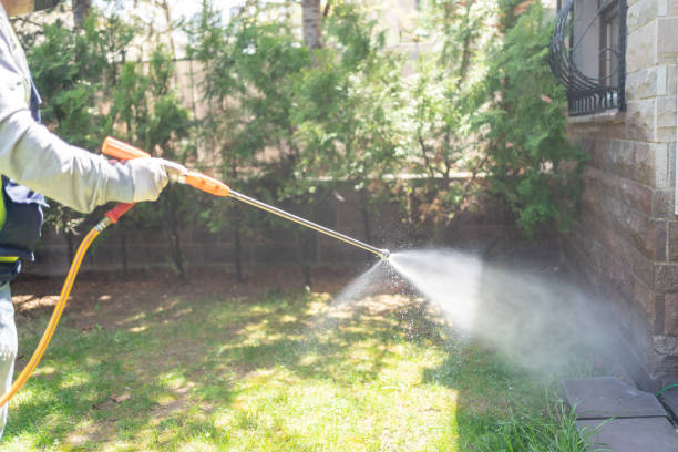 Pest Control for Restaurants in Cortez, CO