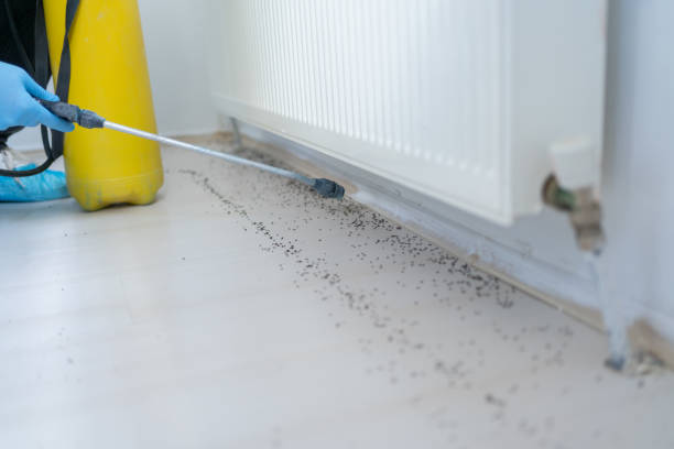 Best Commercial Pest Control Services  in Rtez, CO